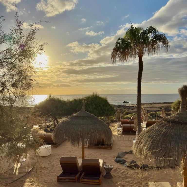 SunSet Mocan - Apartamento de 1 dormitorio - 56