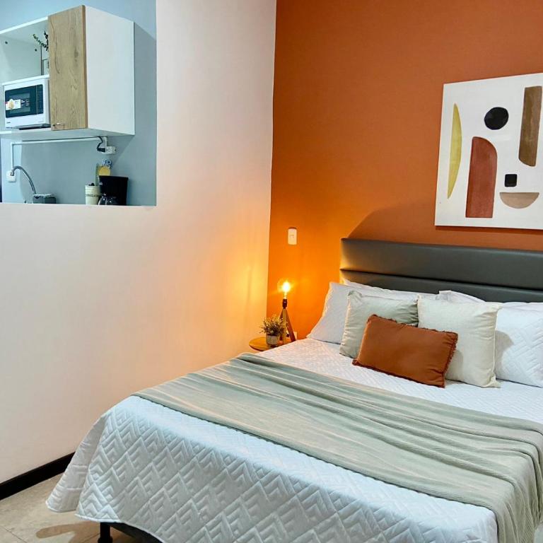 Apartaestudios monoambiente - Apartamento de 1 dormitorio - 1