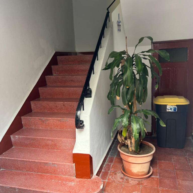 Puebla en familia - Apartamento de 3 dormitorios - 2