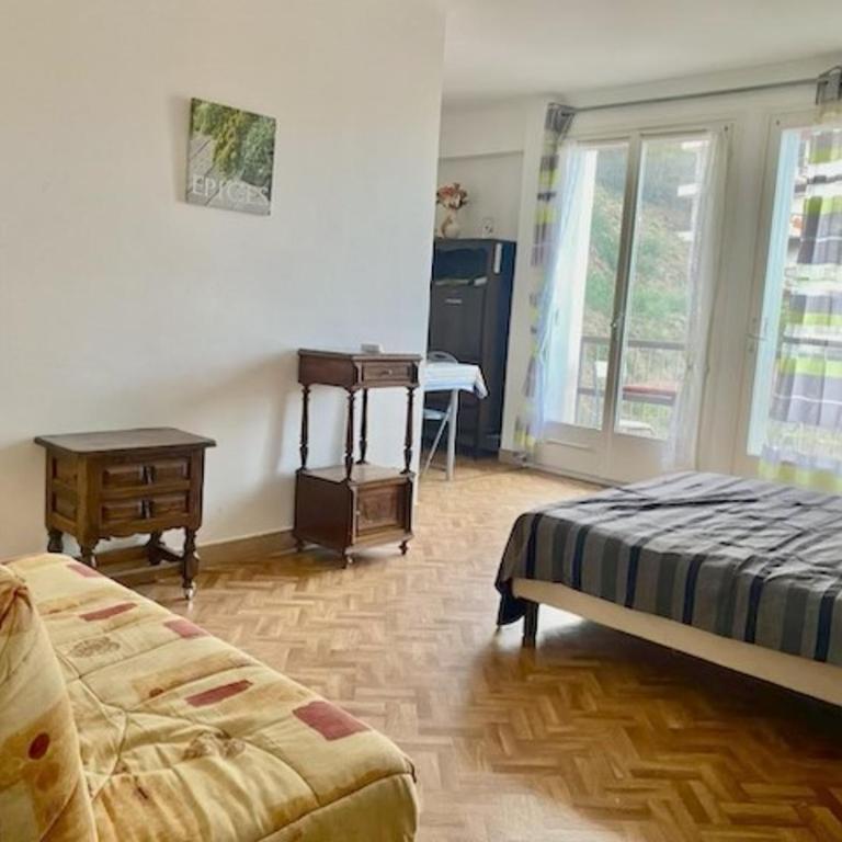 Studio confortable avec balcon à Amélie-les-Bains - WIFI - FR-1-703-219 - Studio - 8