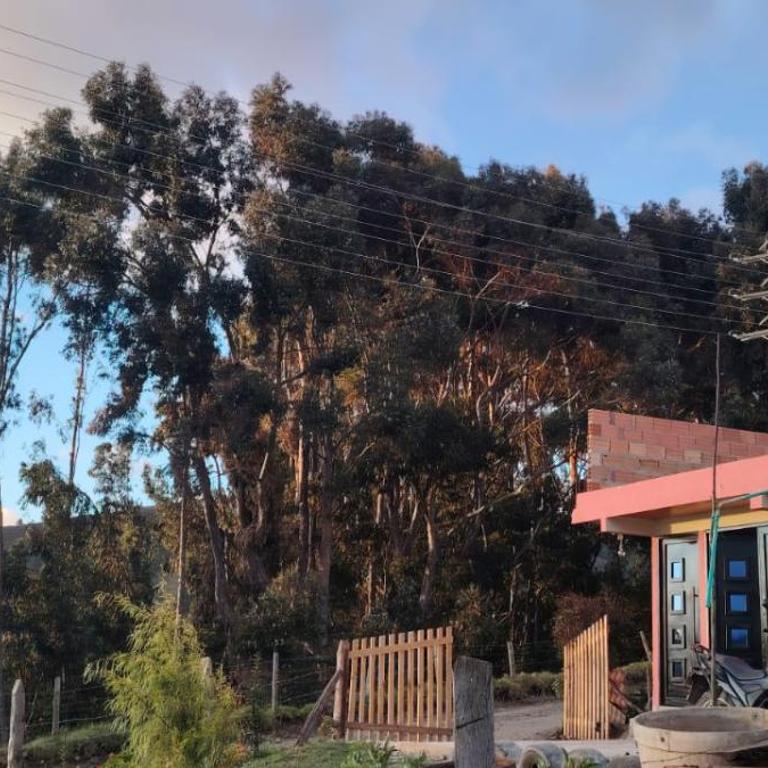 Rinconcito campesino - Apartment - Ground Floor - 9