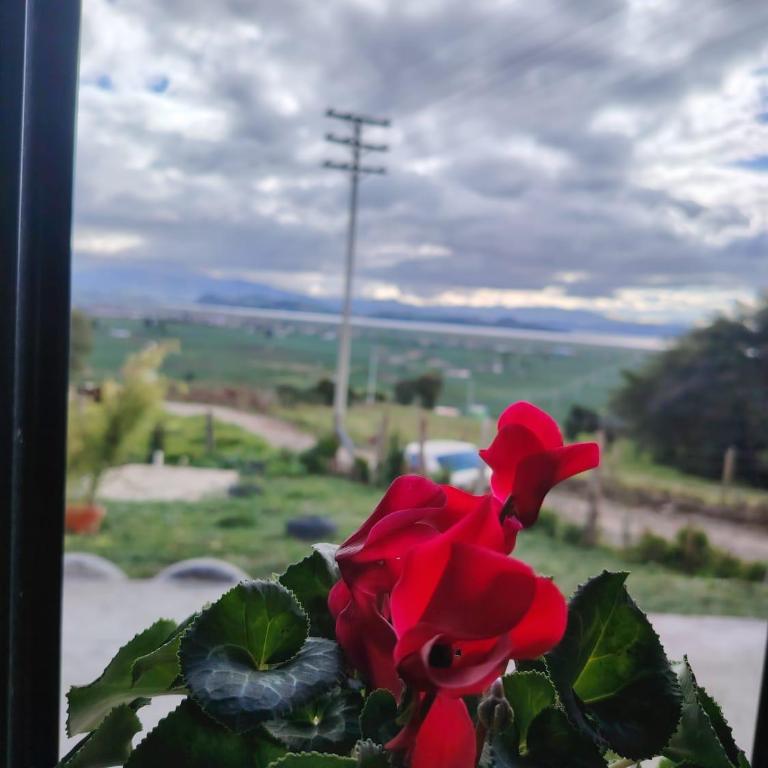 Rinconcito campesino - Apartment - Ground Floor - 5