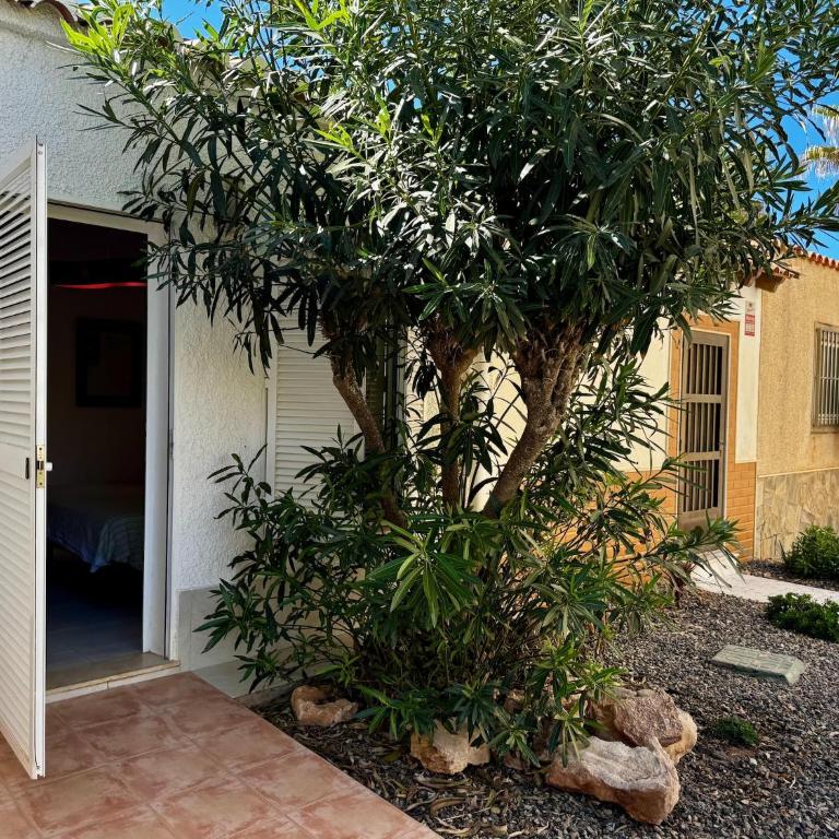Belvilla by Oyo Luxury Tropicana Club - Bungalow de un dormitorio - 14
