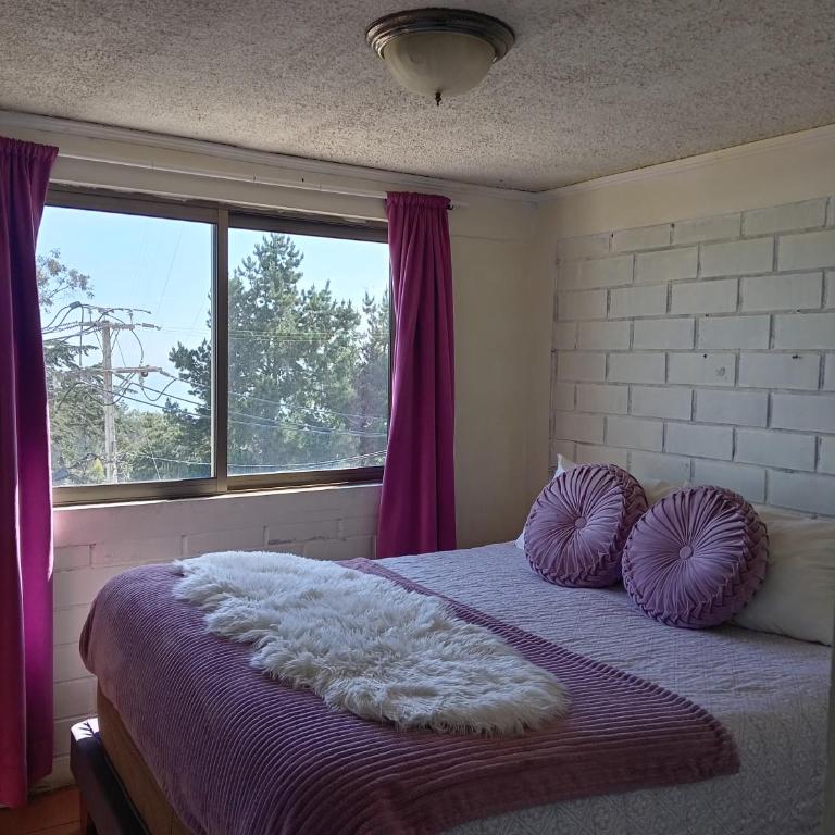 Magenta departamentos - Apartamento de 2 dormitorios - 4