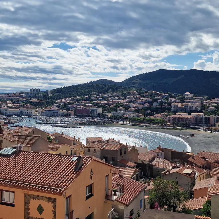 Studio à Banyuls-sur-Mer, terrasse proche plages - FR-1-309-73 - Studio - 1