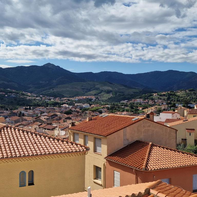 Studio à Banyuls-sur-Mer, terrasse proche plages - FR-1-309-73 - Studio - 4