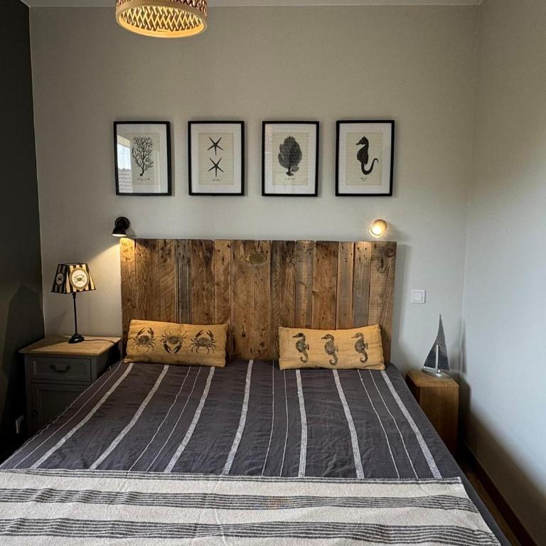 Appartement 2P, vue mer, animaux acceptés, parking - FR-1-487-302 - Appartamento (4 Adulti) - 11