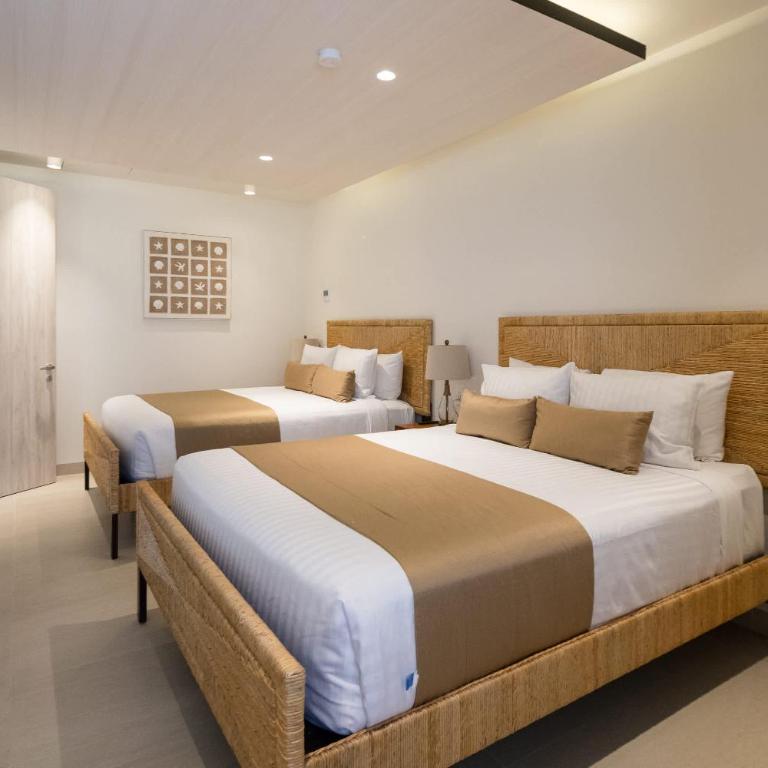 Beachfront Elegance at Las Palomas - Apartamento - 57