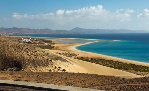 Oasis Jaylota - Apartamento de 1 dormitorio - 59