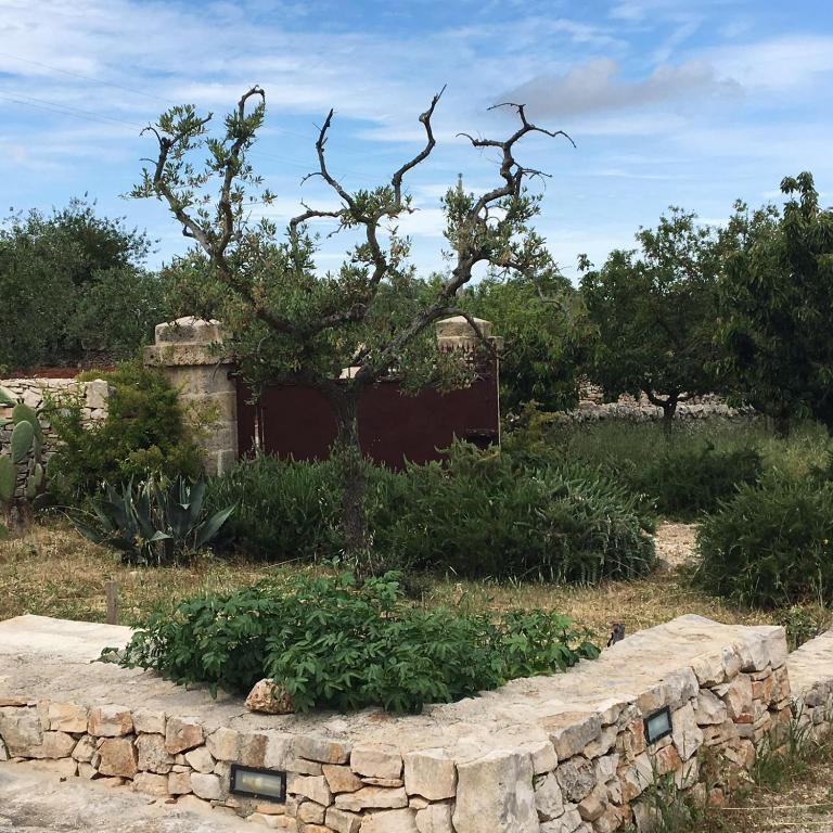 Trulli Lalù - Casa Vacanze - 14