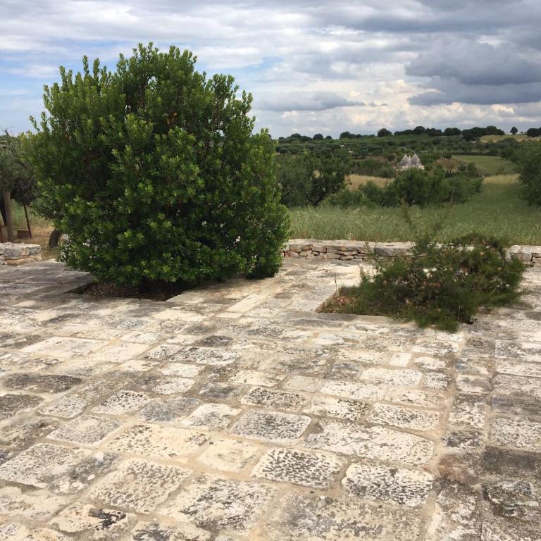 Trulli Lalù - Casa Vacanze - 21