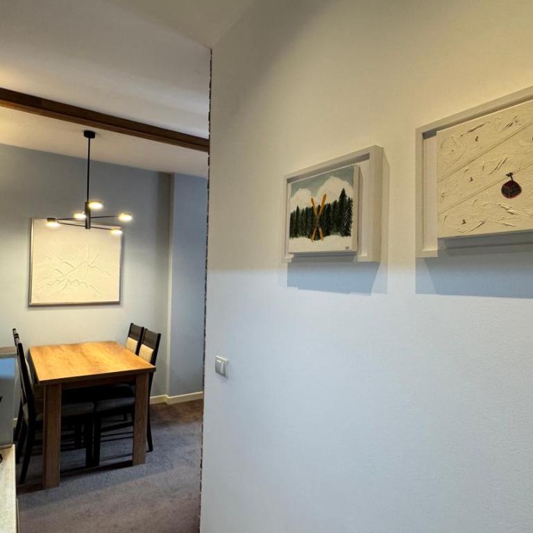 Five-O-Six Apartment, Župa-Kopaonik - One-Bedroom Apartment - 17