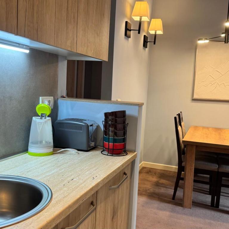 Five-O-Six Apartment, Župa-Kopaonik - One-Bedroom Apartment - 22