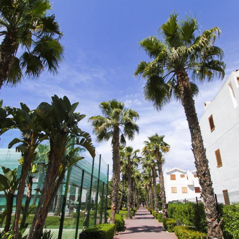 Apartamento PUNTA PRIMA PLUS - Apartment - 23