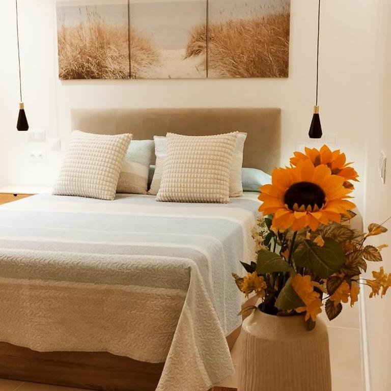 Estudio centro de La Laguna - Apartamento de 1 dormitorio - 2