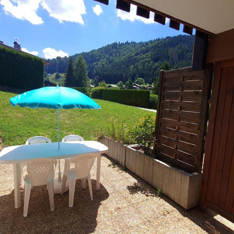Charmant studio avec terrasse et WIFI à La Clusaz - FR-1-459-64 - Studio - 6