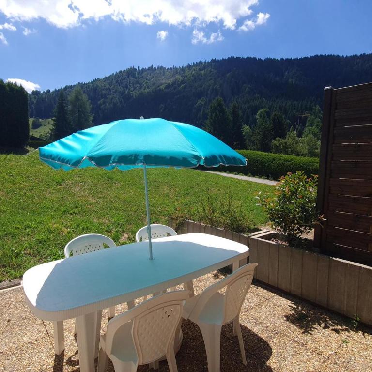 Charmant studio avec terrasse et WIFI à La Clusaz - FR-1-459-64 - Studio - 10