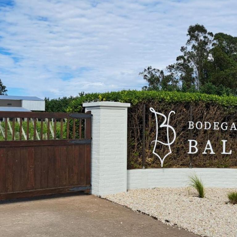 Bodegas y Viñedos Balcarce - Estudio Deluxe con cama grande - 2