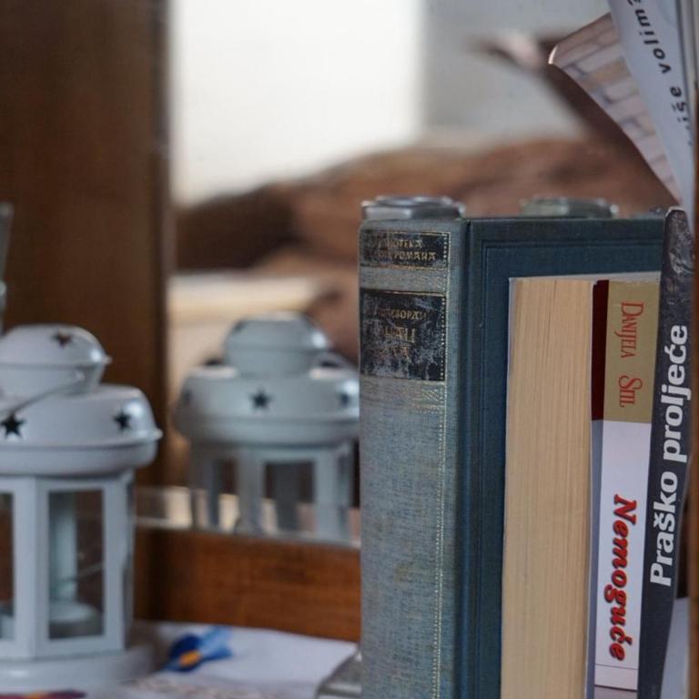 Apartment Oganj - Comfort One Bedroom Apartment - 5