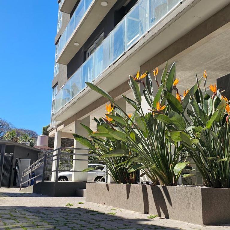 2 ambientes en Palermo - Apartamento de 1 dormitorio - 10