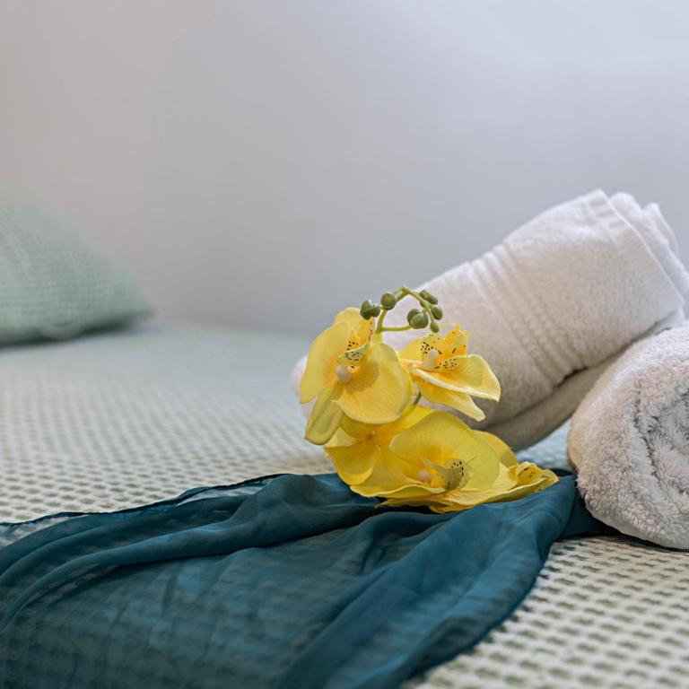 Sibilina House centro Jerez - Apartamento de 3 dormitorios - 35