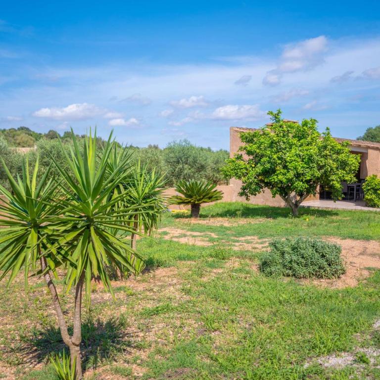 Casa Fina - Villa de 6 dormitorios - 67