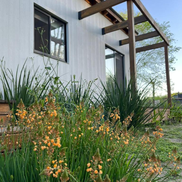 Casa Los Sauces - Casa de 2 dormitorios - 3