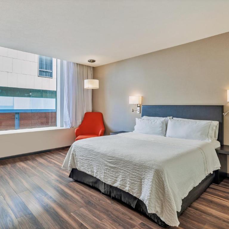 Fiesta Inn Centro Historico - Executive King Room - 4