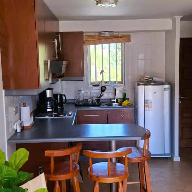 Departamento a una cuadra del centro, casino y del lago - Two-Bedroom Apartment - 7