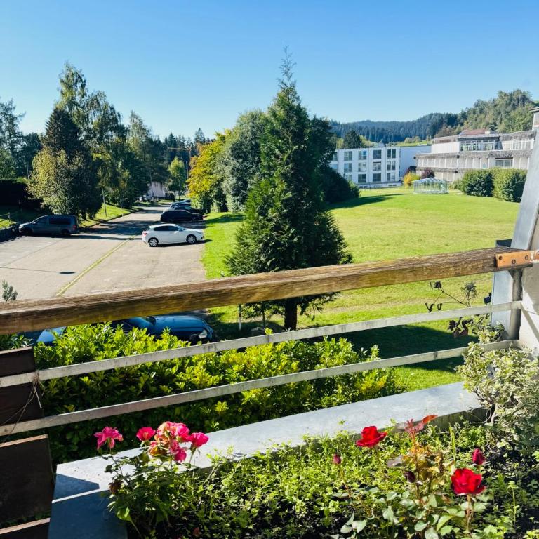 JJ Living - Sonnenblick 159 - Appartamento con 1 Camera da Letto e Balcone - 14