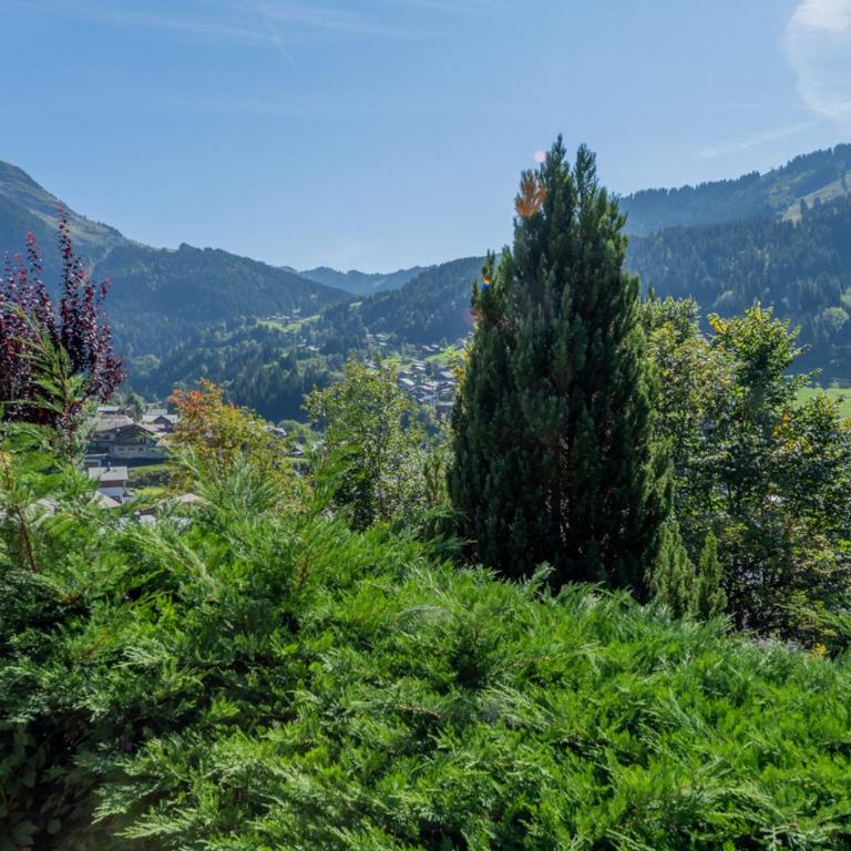 Gentianes Chalet - Snow and Trek - Morzine - Three-Bedroom Apartment with Mountain View - 40