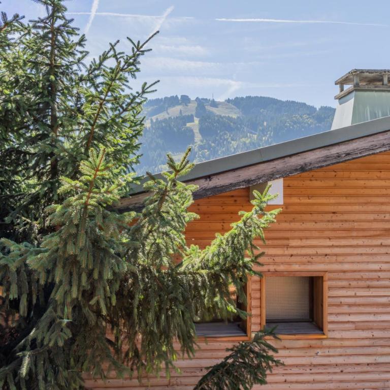 Gentianes Chalet - Snow and Trek - Morzine - Three-Bedroom Apartment with Mountain View - 41