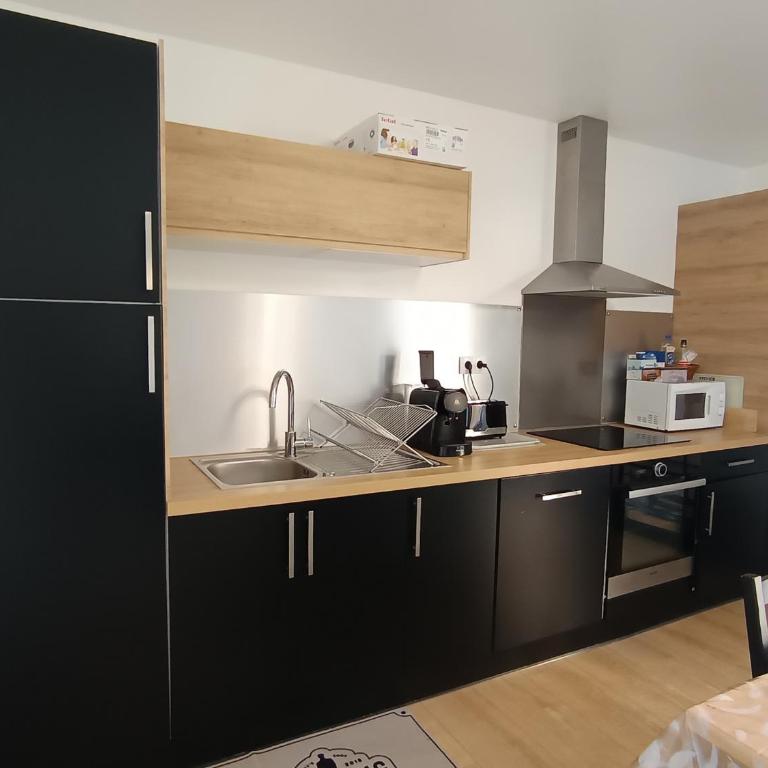 Appartement rénové lumineux avec terrasse et coin montagne - FR-1-445-189 - Monolocale - 5