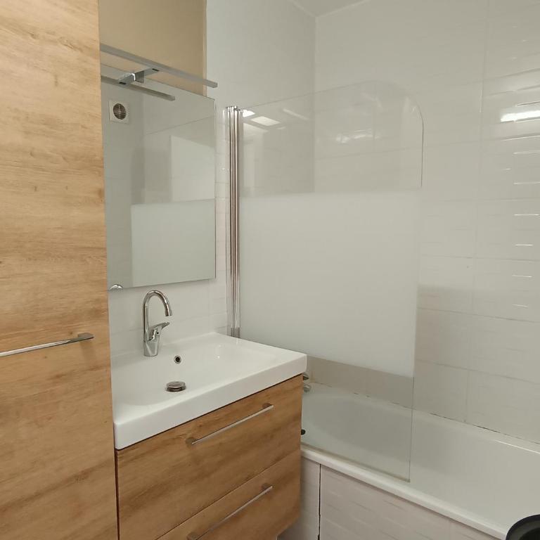 Appartement rénové lumineux avec terrasse et coin montagne - FR-1-445-189 - Monolocale - 6