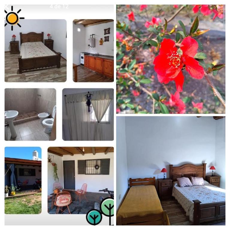 Che Sy ha Che Ru - Casa con 1 dormitorio - 8