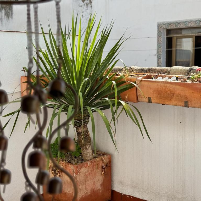 Ático San Francisco - Apartamento de 2 dormitorios - 30