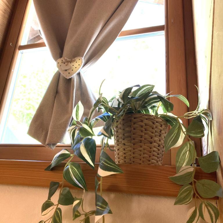Mansarda Ai Tigli - Appartamento con 2 Camere da Letto - 22