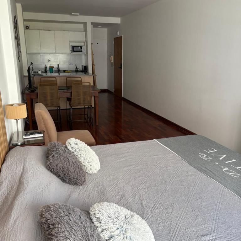 Hermoso departamento en Palermo Chico! - One-Bedroom Apartment - 2