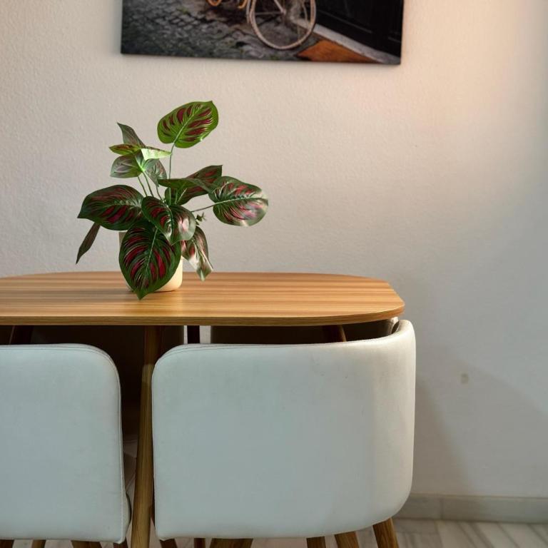 Apartamento María La Judía - Apartamento de 3 dormitorios - 10