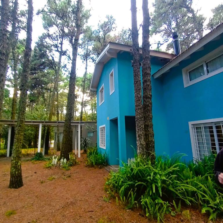 Casa Noviembre en el bosque - Casa de 3 dormitorios - 1