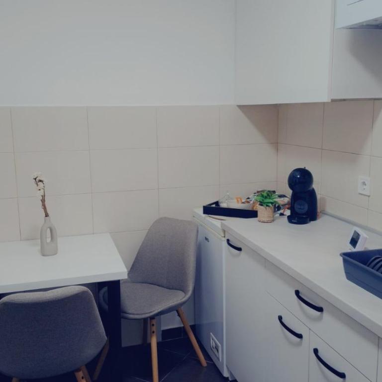 Family Apartman Telep Novi Sad - Yard & Free parking - Apartman sa 3 Spavaće Sobe i Balkonom - 9