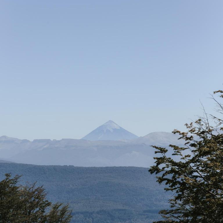 Bosque Nevado - Chalet - 13