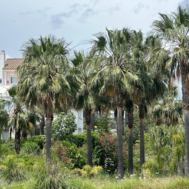 Alcazaba Blue Lagoon 3 bedroom, Ground floor Apartment - Apartamento de 3 dormitorios - 16
