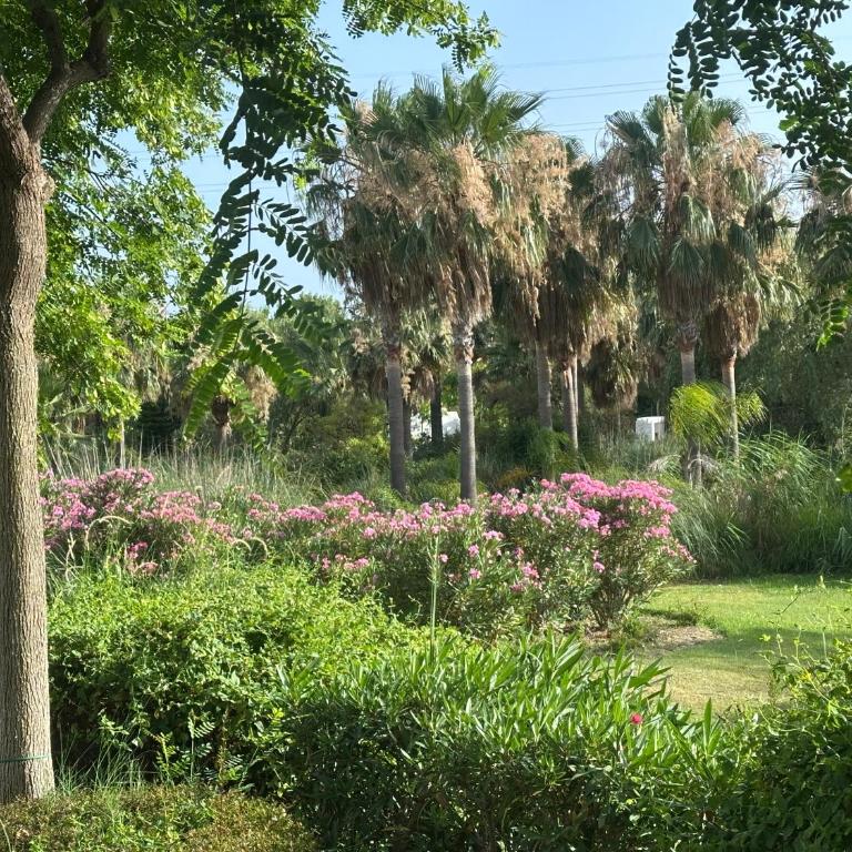 Alcazaba Blue Lagoon 3 bedroom, Ground floor Apartment - Apartamento de 3 dormitorios - 15