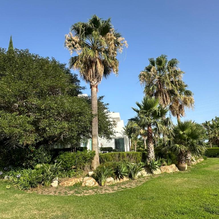 Alcazaba Blue Lagoon 3 bedroom, Ground floor Apartment - Apartamento de 3 dormitorios - 92