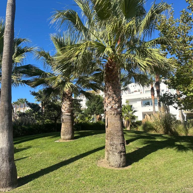 Alcazaba Blue Lagoon 3 bedroom, Ground floor Apartment - Apartamento de 3 dormitorios - 97