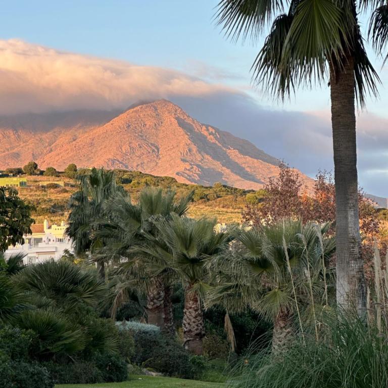 Alcazaba Blue Lagoon 3 bedroom, Ground floor Apartment - Apartamento de 3 dormitorios - 10