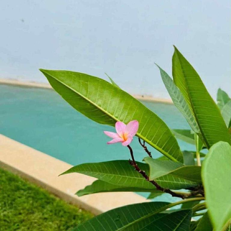 Muunyal Naj - Apartamento de 1 dormitorio - 9