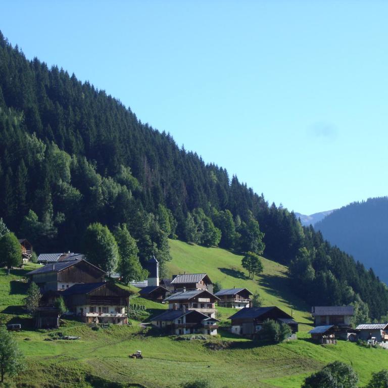 Les Myosotis - Appartement avec Vue sur la Montagne - 9