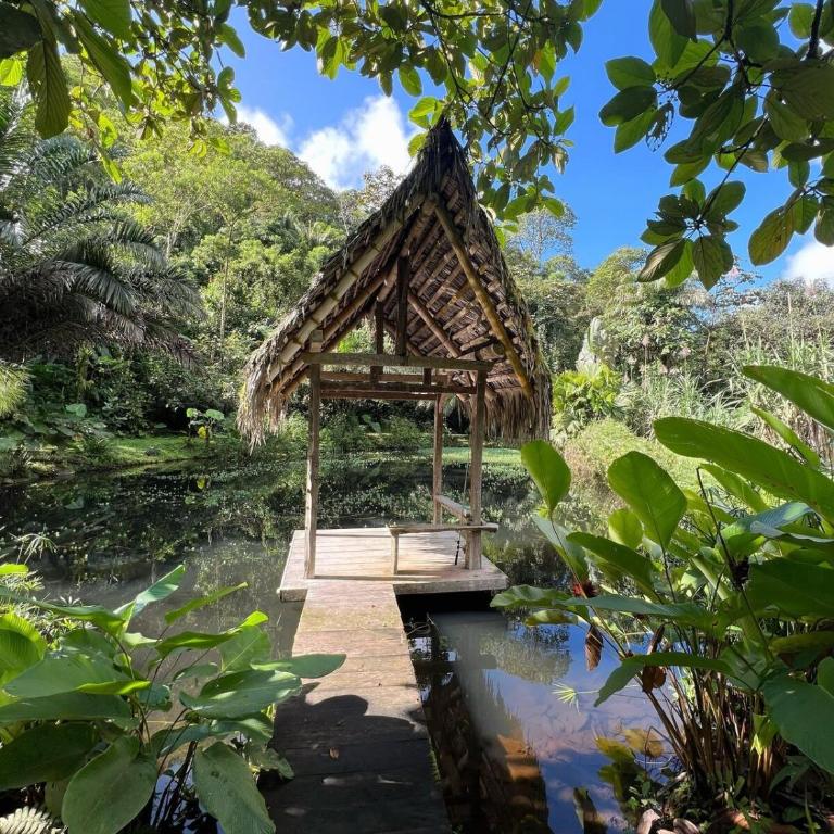 Finca Aveterra, Luxurious Riverside Retreat - One-Bedroom House - 18